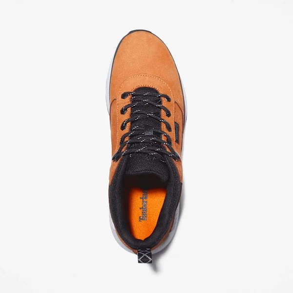 Baskets Field Trekker pour homme Baskets Field Trekker pour homme