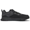 Baskets Lincoln Peak « Noir Mesh »