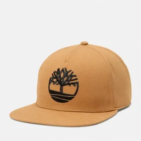 Casquette de baseball à visière plate