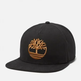 Casquette de baseball à visière plate