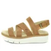 Safari Dawn « Marron White »