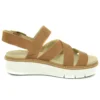 Safari Dawn « Marron White »