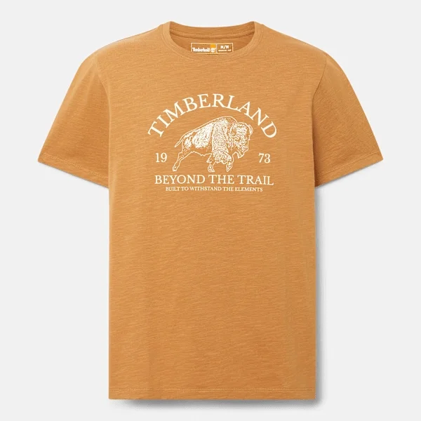 T-shirt graphique à manches courtes pour homme en shorts T-shirt graphique à manches courtes pour homme en shorts
