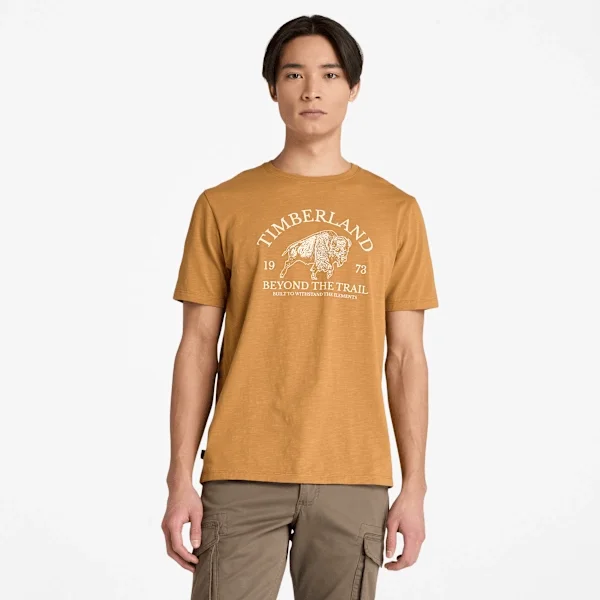T-shirt graphique à manches courtes pour homme en shorts T-shirt graphique à manches courtes pour homme en shorts