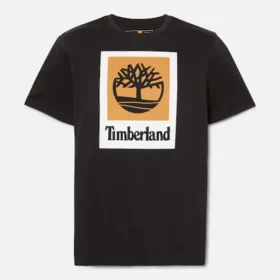 T-shirt à manches courtes avec logo superposé