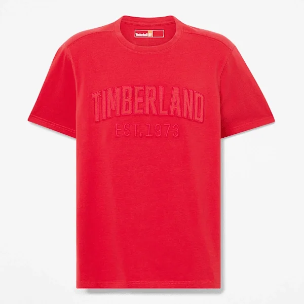 T-shirt pour homme délavé avec logo brodé T-shirt pour homme délavé avec logo brodé