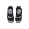 Whitehaven « Black Silver »